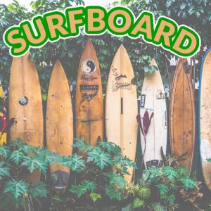 Funkquest Surfboard Edition